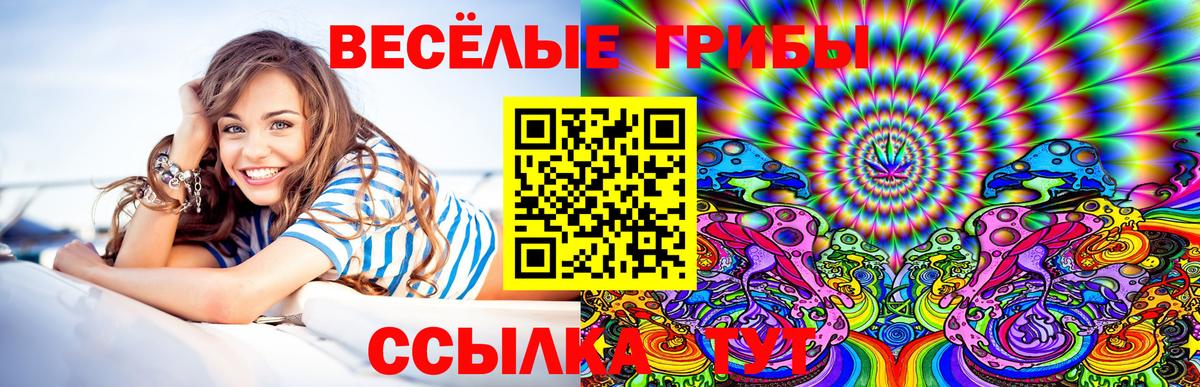 продажа наркотиков  Галлюциногенные грибы GOLDEN TEACHER  Вход с VPN  Астрахань 